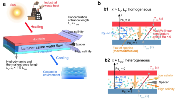 https://www.nature.com/articles/s41467-024-47313-5#Fig1